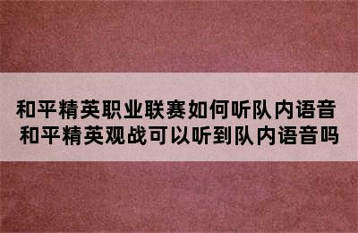 和平精英职业联赛如何听队内语音 和平精英观战可以听到队内语音吗